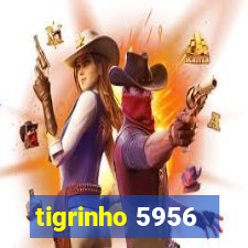 tigrinho 5956